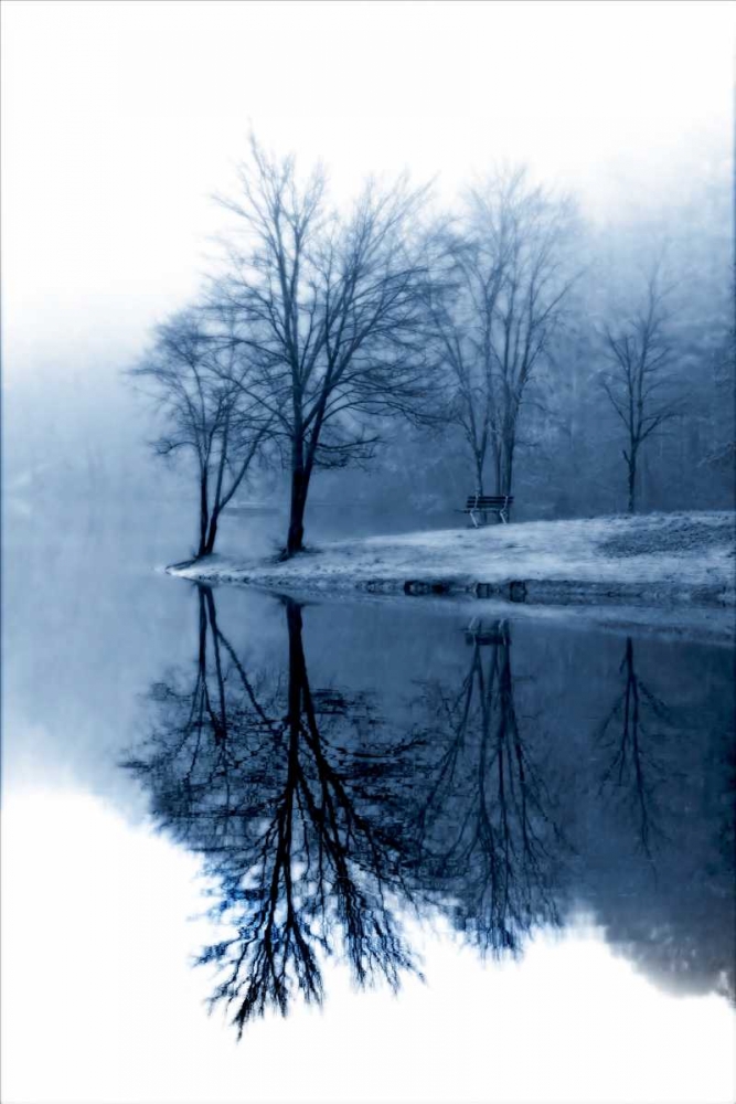 Fog on the Lake I art print by Alan Hausenflock for $57.95 CAD