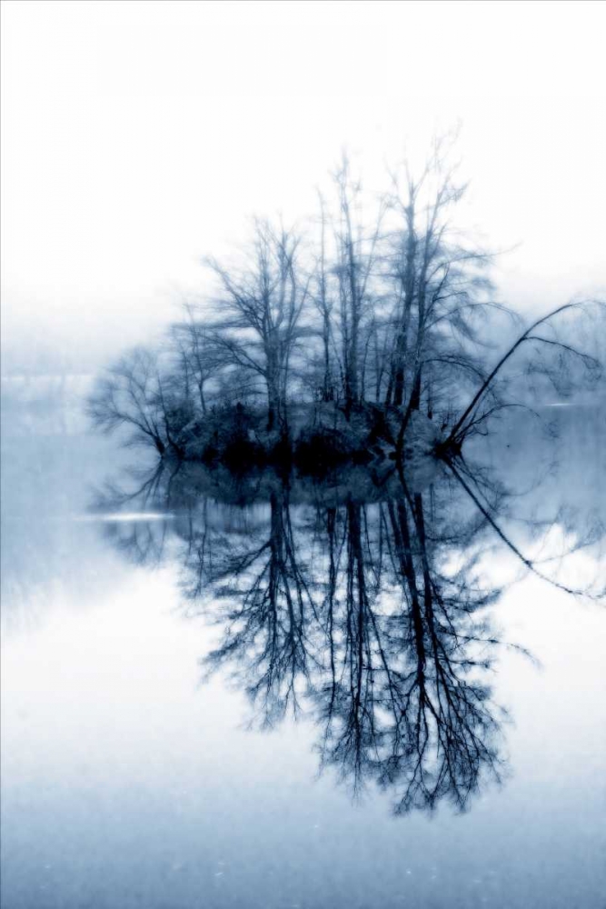 Fog on the Lake II art print by Alan Hausenflock for $57.95 CAD
