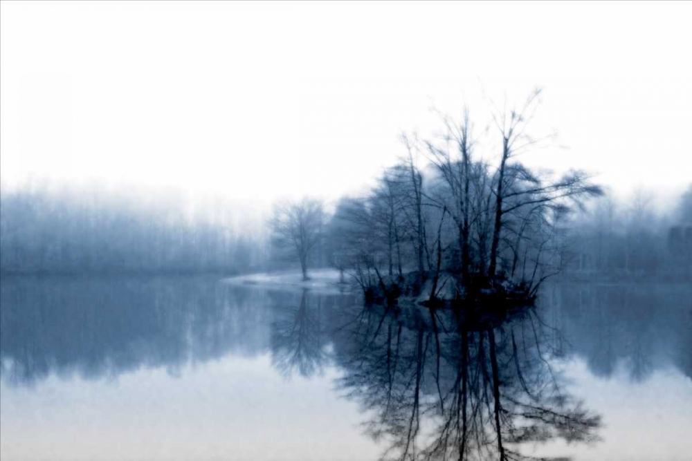 Fog on the Lake IV art print by Alan Hausenflock for $57.95 CAD