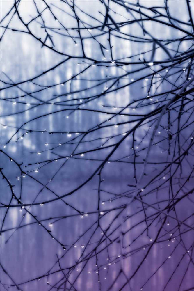 Droplets I art print by Alan Hausenflock for $57.95 CAD