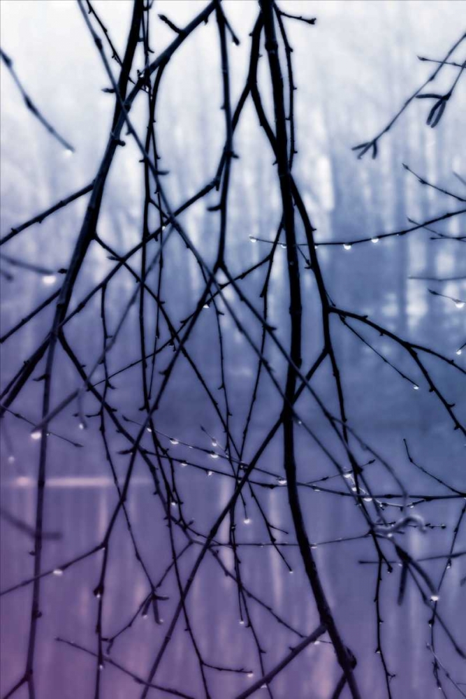 Droplets II art print by Alan Hausenflock for $57.95 CAD