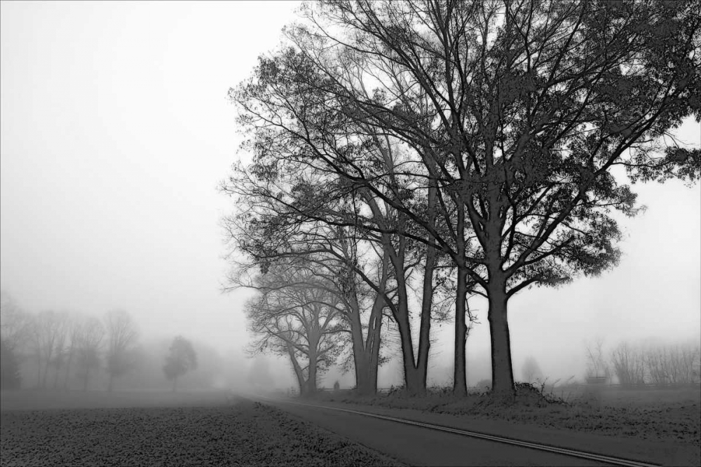 Rural Point Road art print by Alan Hausenflock for $57.95 CAD