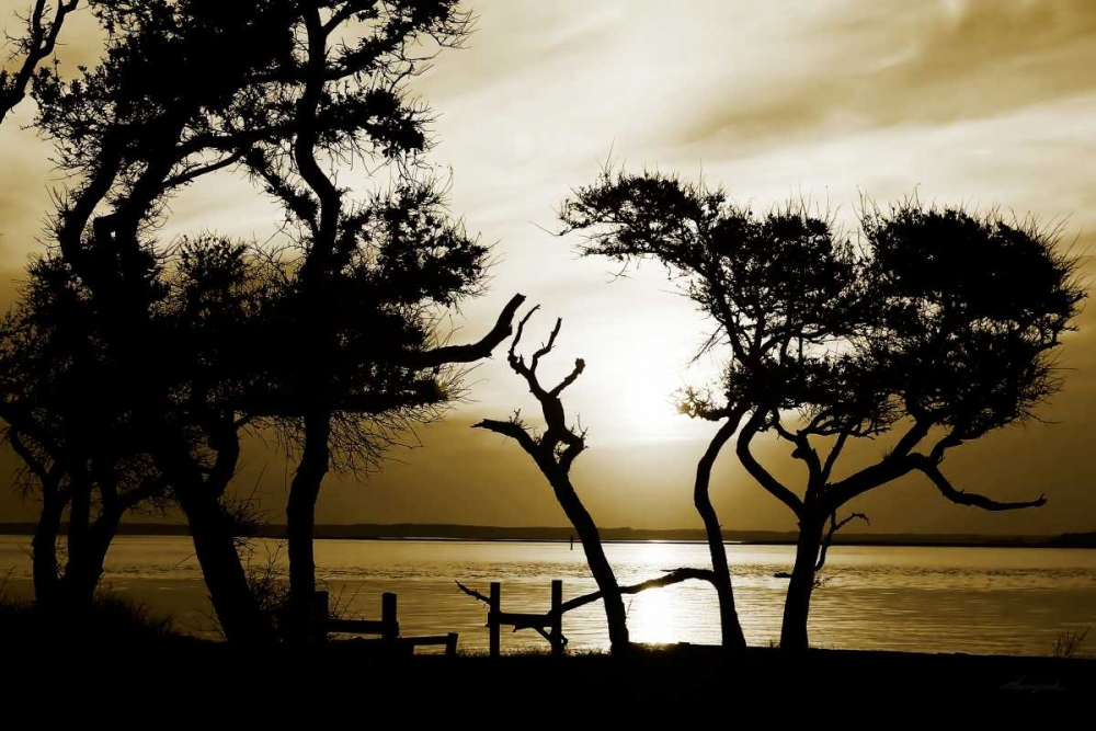 Blissful Shore I art print by Alan Hausenflock for $57.95 CAD