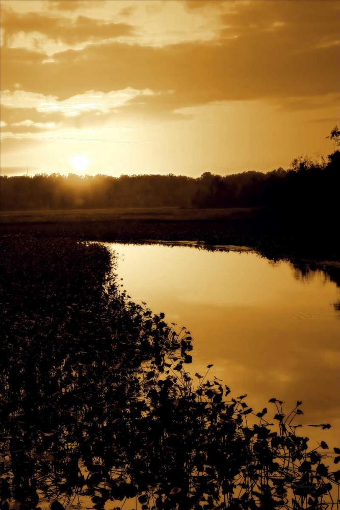 Sunset on the Lake I art print by Alan Hausenflock for $57.95 CAD