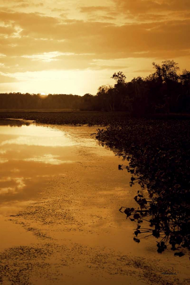 Sunset on the Lake II art print by Alan Hausenflock for $57.95 CAD