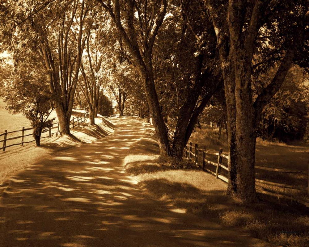 Summer Stroll I art print by Alan Hausenflock for $57.95 CAD