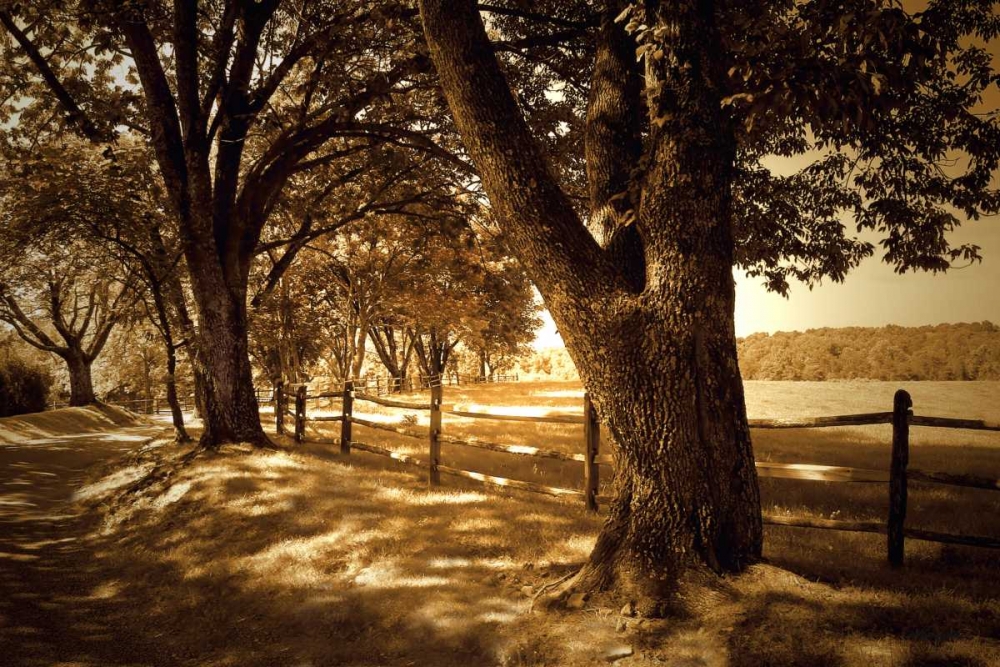 Summer Stroll II art print by Alan Hausenflock for $57.95 CAD