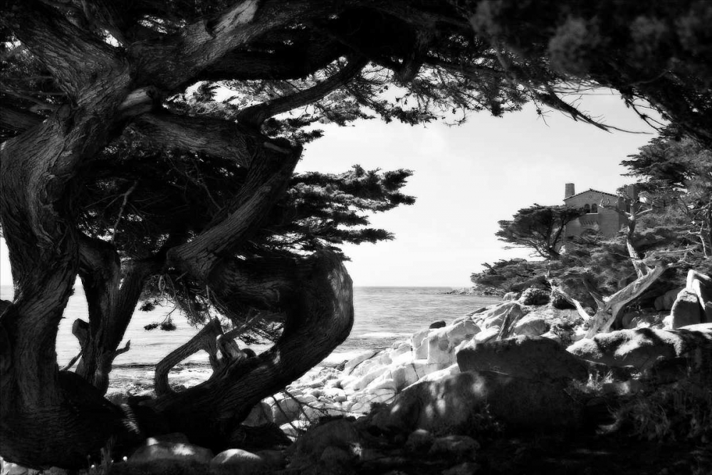 Ocean View I art print by Alan Hausenflock for $57.95 CAD
