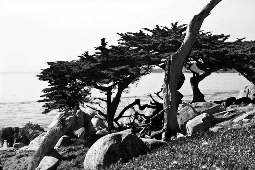Ocean View II art print by Alan Hausenflock for $57.95 CAD