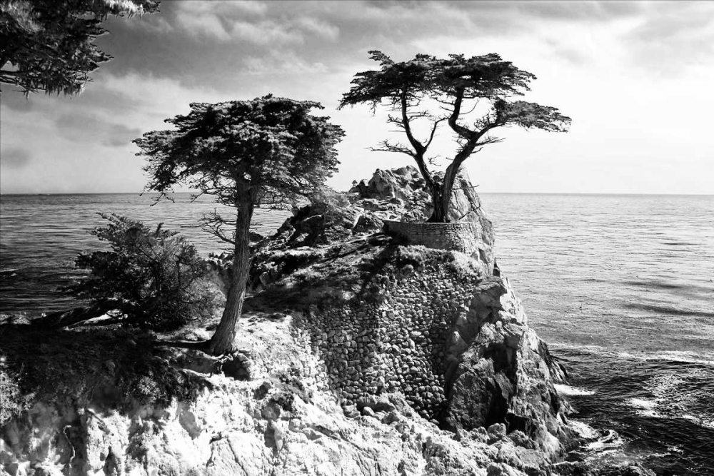 Ocean Cliff I art print by Alan Hausenflock for $57.95 CAD