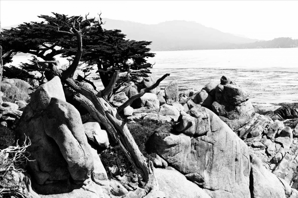 Ocean Cliff II art print by Alan Hausenflock for $57.95 CAD