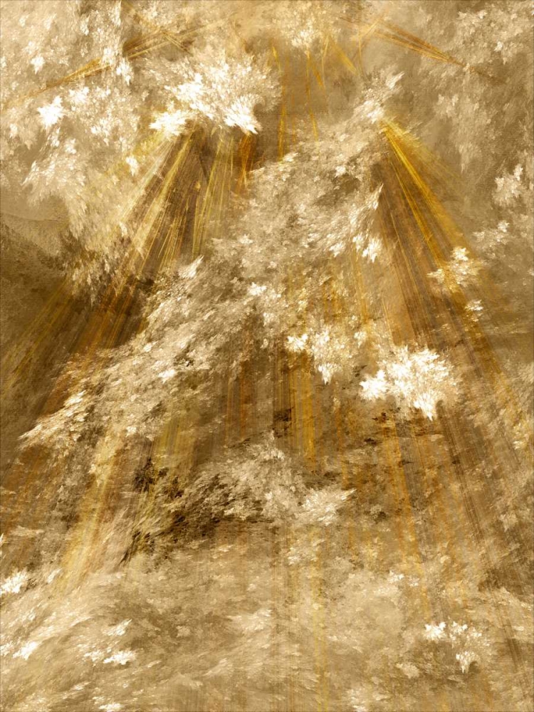 Fractal Light II art print by Alan Hausenflock for $57.95 CAD