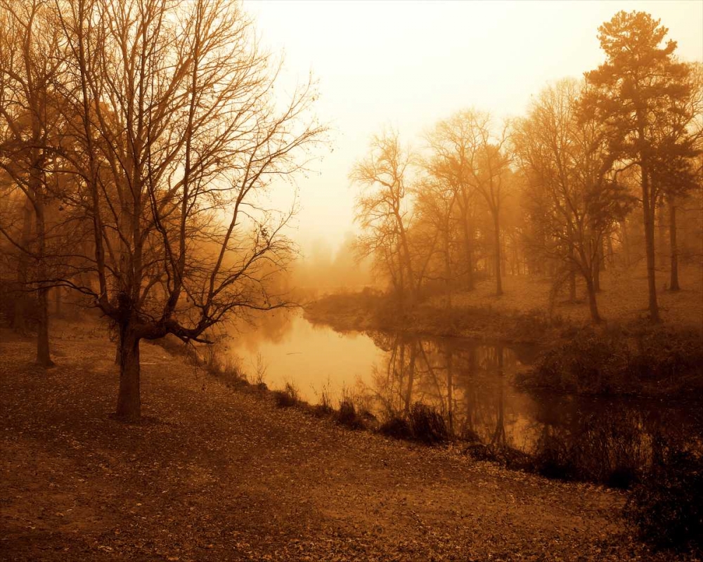 Peaceful II art print by Alan Hausenflock for $57.95 CAD