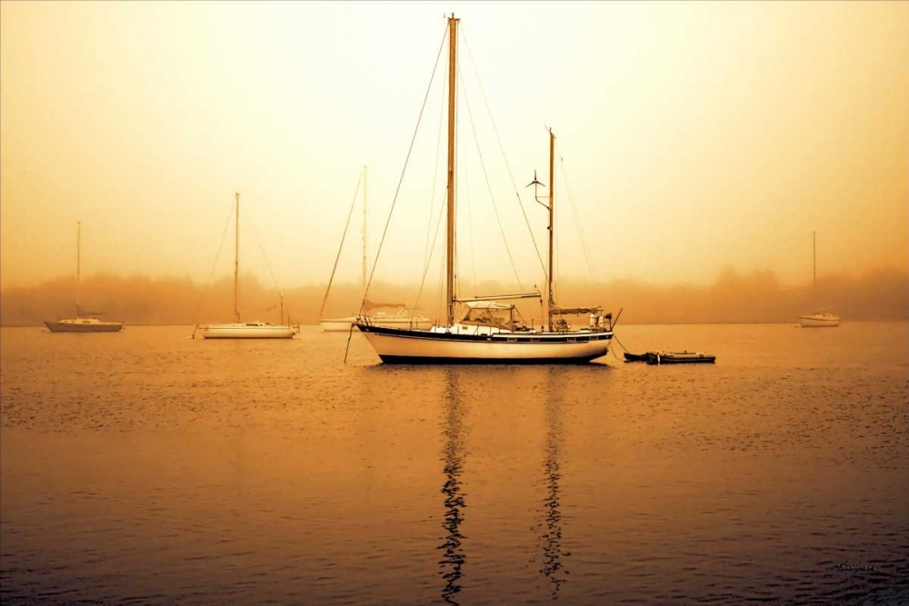 Early Morning Fishing I art print by Alan Hausenflock for $57.95 CAD