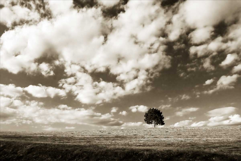 Cloudy Skies I art print by Alan Hausenflock for $57.95 CAD