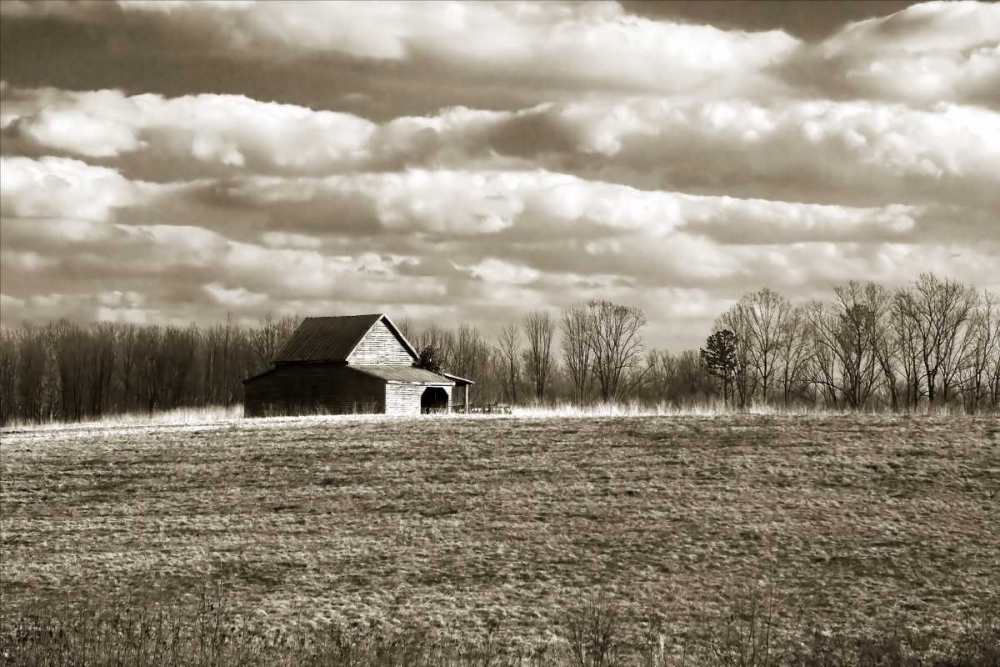 Cloudy Skies II art print by Alan Hausenflock for $57.95 CAD