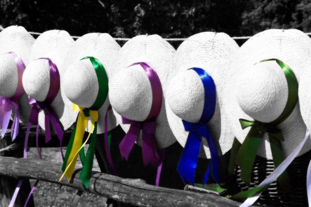 Fancy Hats I art print by Alan Hausenflock for $57.95 CAD