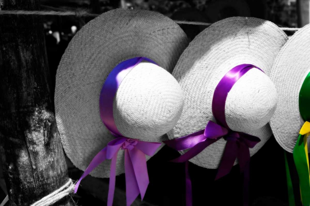 Fancy Hats II art print by Alan Hausenflock for $57.95 CAD