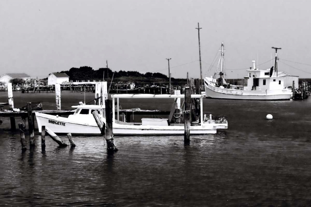Tangier Island III art print by Alan Hausenflock for $57.95 CAD