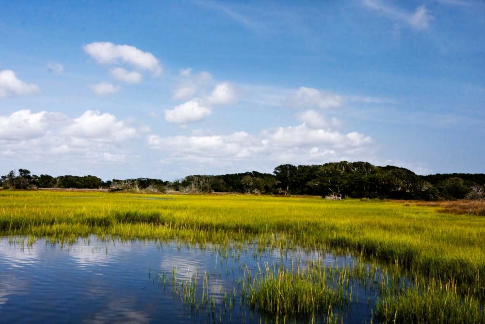 Marshland II art print by Alan Hausenflock for $57.95 CAD