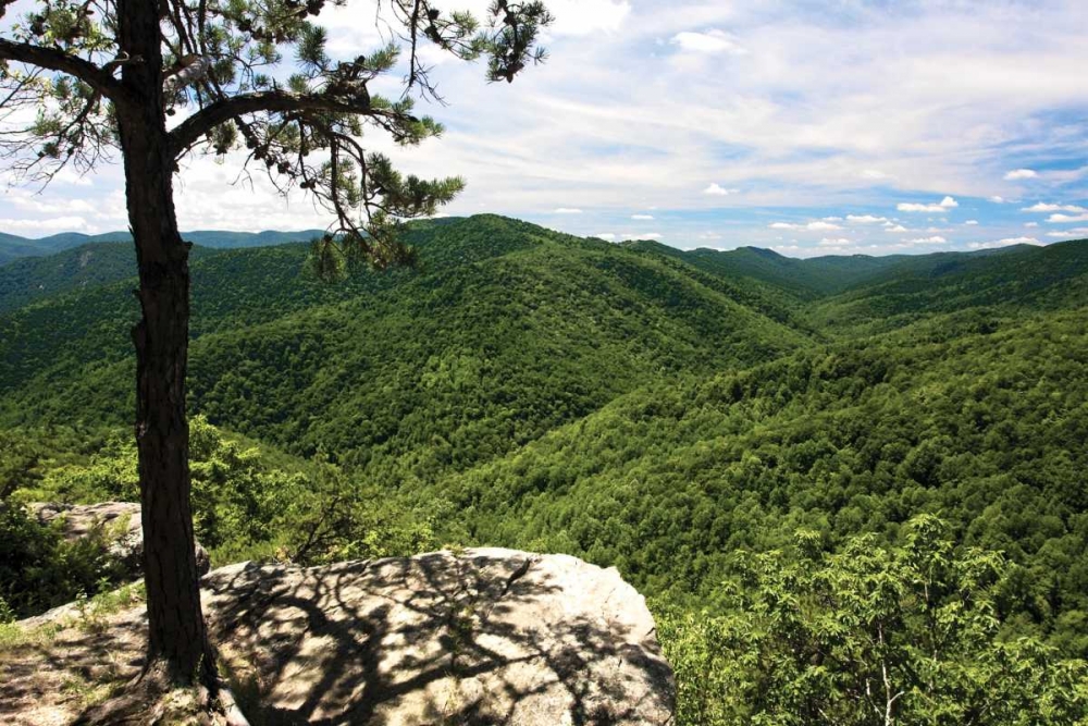 Blue Ridge art print by Alan Hausenflock for $57.95 CAD
