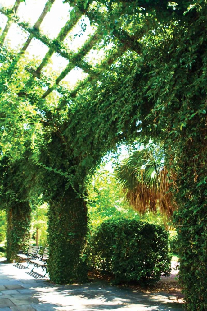 Ivy I art print by Alan Hausenflock for $57.95 CAD