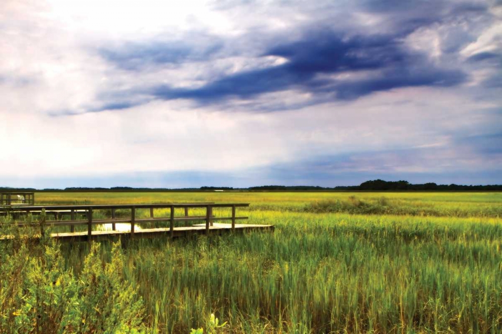 Marshland Storm I art print by Alan Hausenflock for $57.95 CAD