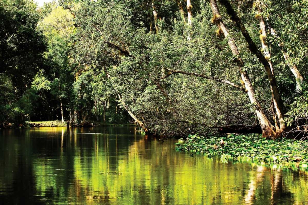 Silver River I art print by Alan Hausenflock for $57.95 CAD