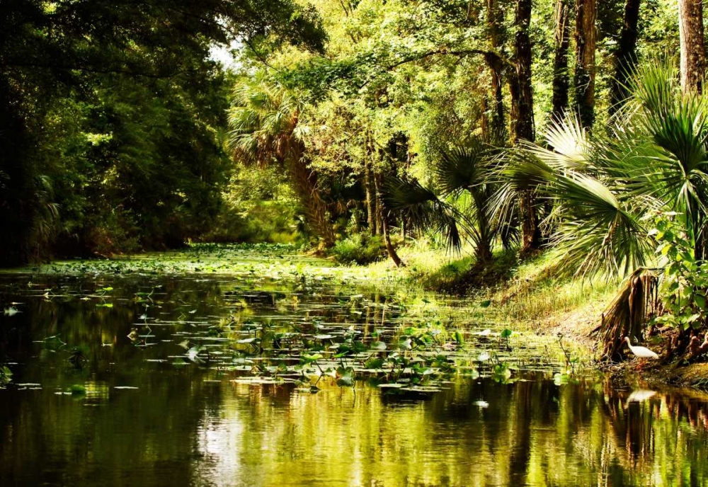 Silver River III art print by Alan Hausenflock for $57.95 CAD