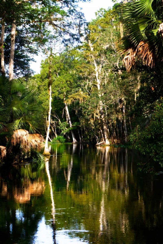 Winding River I art print by Alan Hausenflock for $57.95 CAD