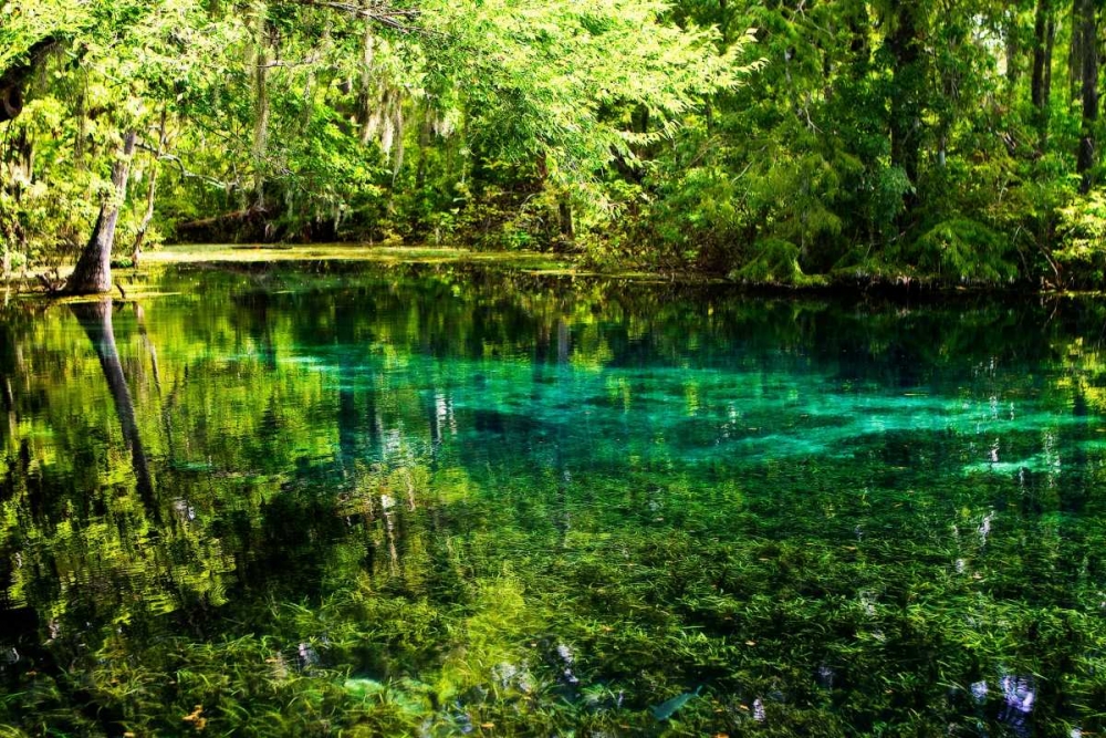 Clear Spring Waters I art print by Alan Hausenflock for $57.95 CAD
