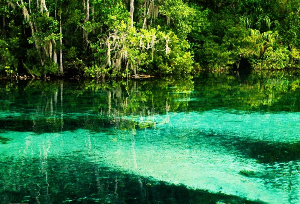 Clear Spring Waters II art print by Alan Hausenflock for $57.95 CAD