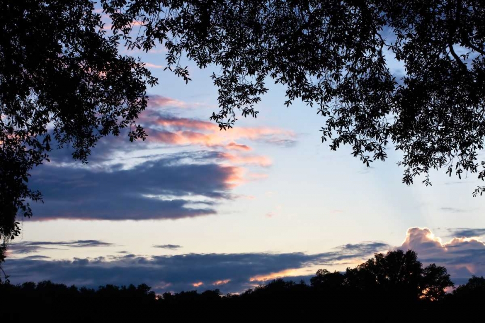 Sunset Through the Trees II art print by Alan Hausenflock for $57.95 CAD