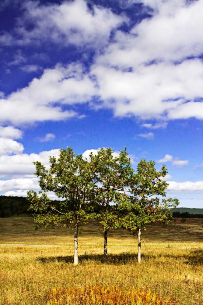 Autumn Fields IV art print by Alan Hausenflock for $57.95 CAD