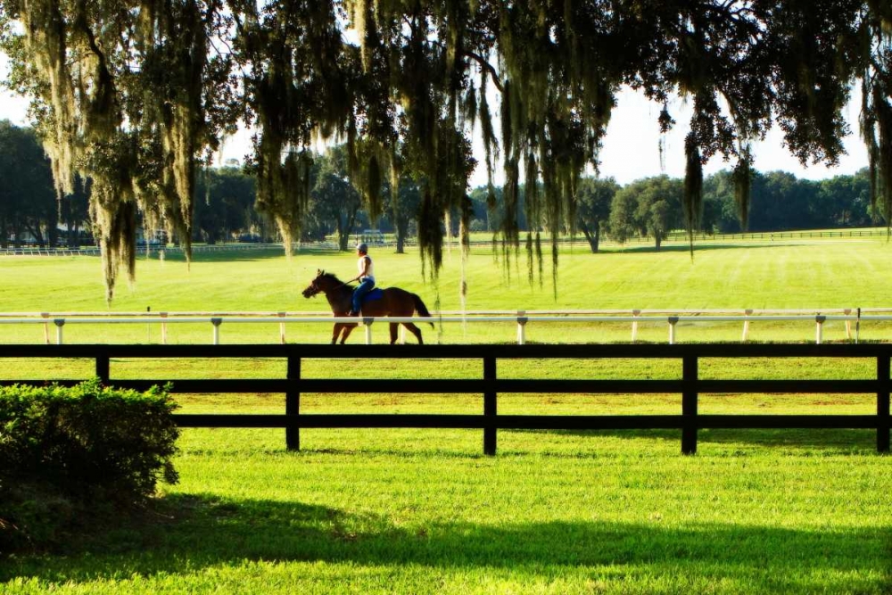 Training Day II art print by Alan Hausenflock for $57.95 CAD