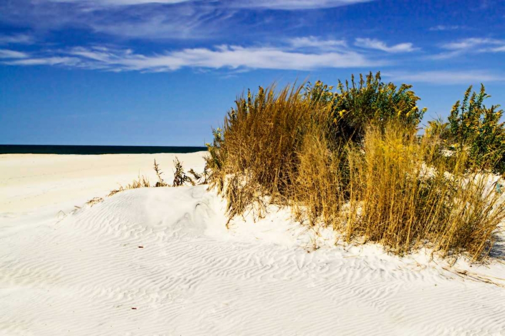 Assateague Beach IV art print by Alan Hausenflock for $57.95 CAD