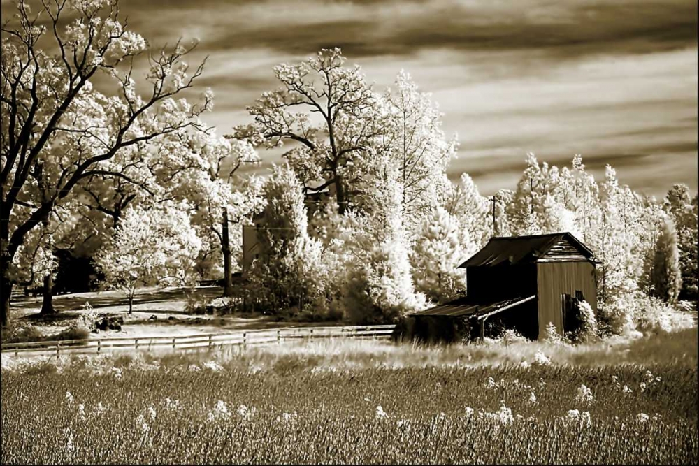 Route 96 art print by Alan Hausenflock for $57.95 CAD