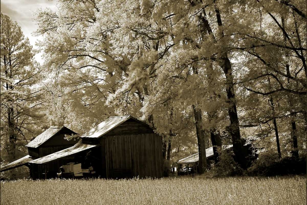 Tobacco Road art print by Alan Hausenflock for $57.95 CAD