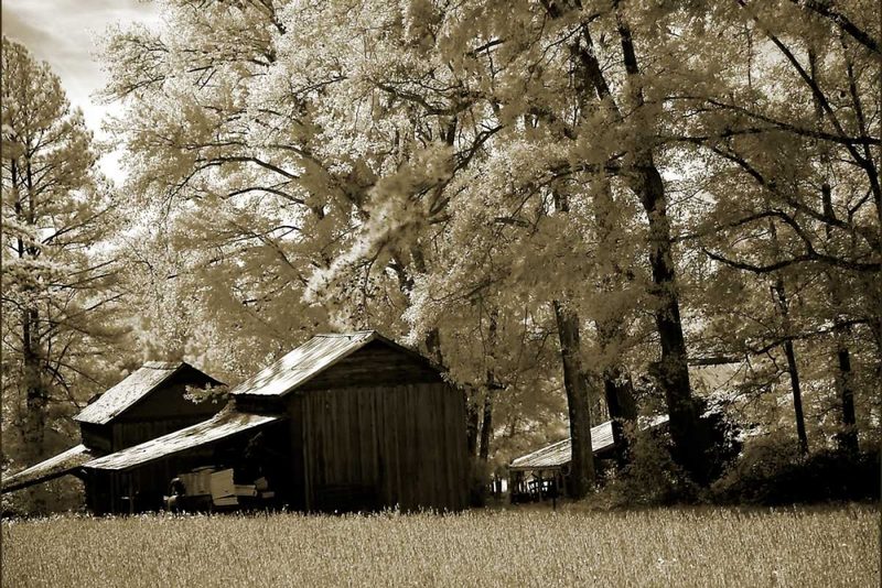 Tobacco Road art print by Alan Hausenflock for $57.95 CAD