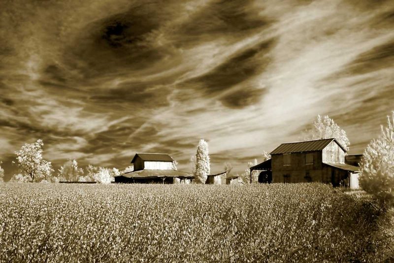Swirling Sky art print by Alan Hausenflock for $57.95 CAD