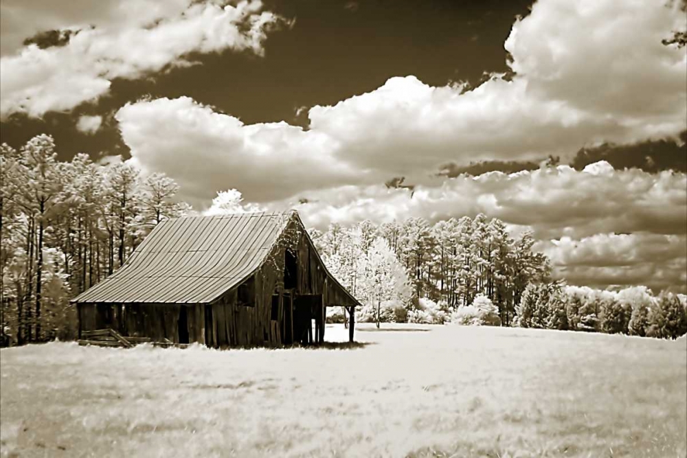 Yesterday art print by Alan Hausenflock for $57.95 CAD