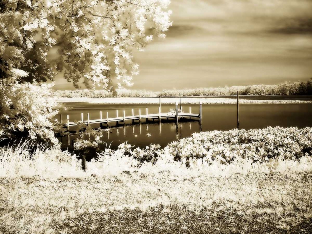 Mattaponi I art print by Alan Hausenflock for $57.95 CAD