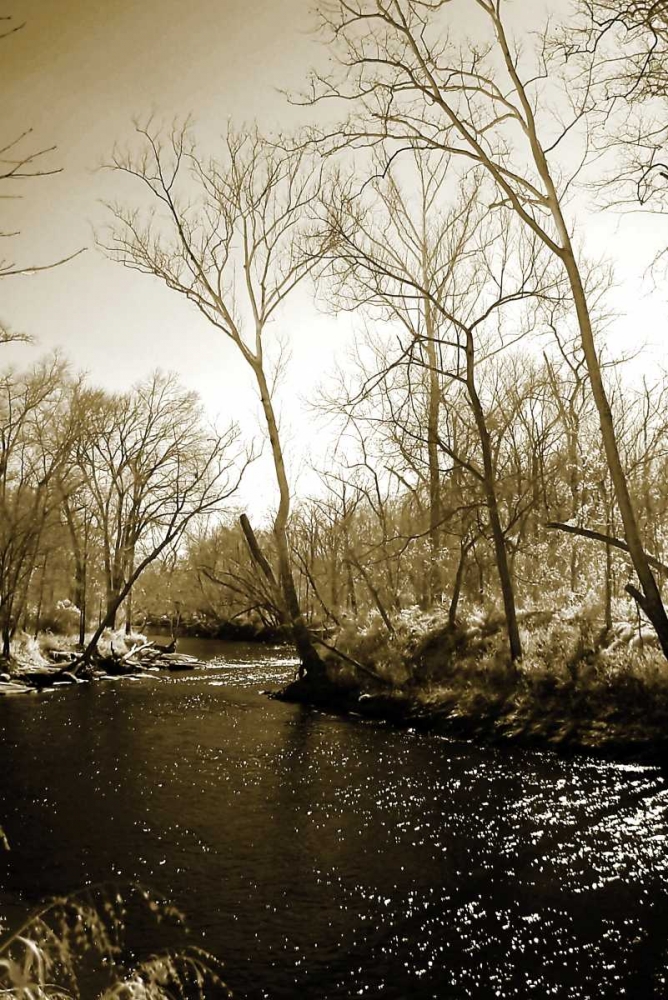 Winter on the Neuse River art print by Alan Hausenflock for $57.95 CAD