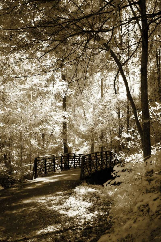 Summer Bridge art print by Alan Hausenflock for $57.95 CAD