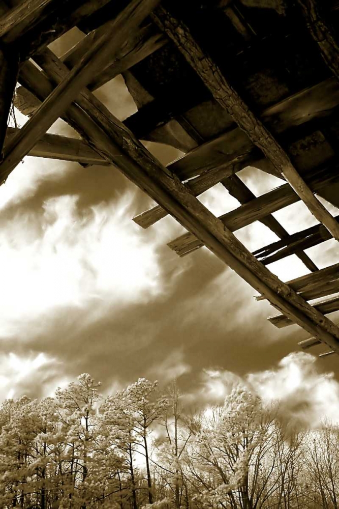 Falling Down II art print by Alan Hausenflock for $57.95 CAD