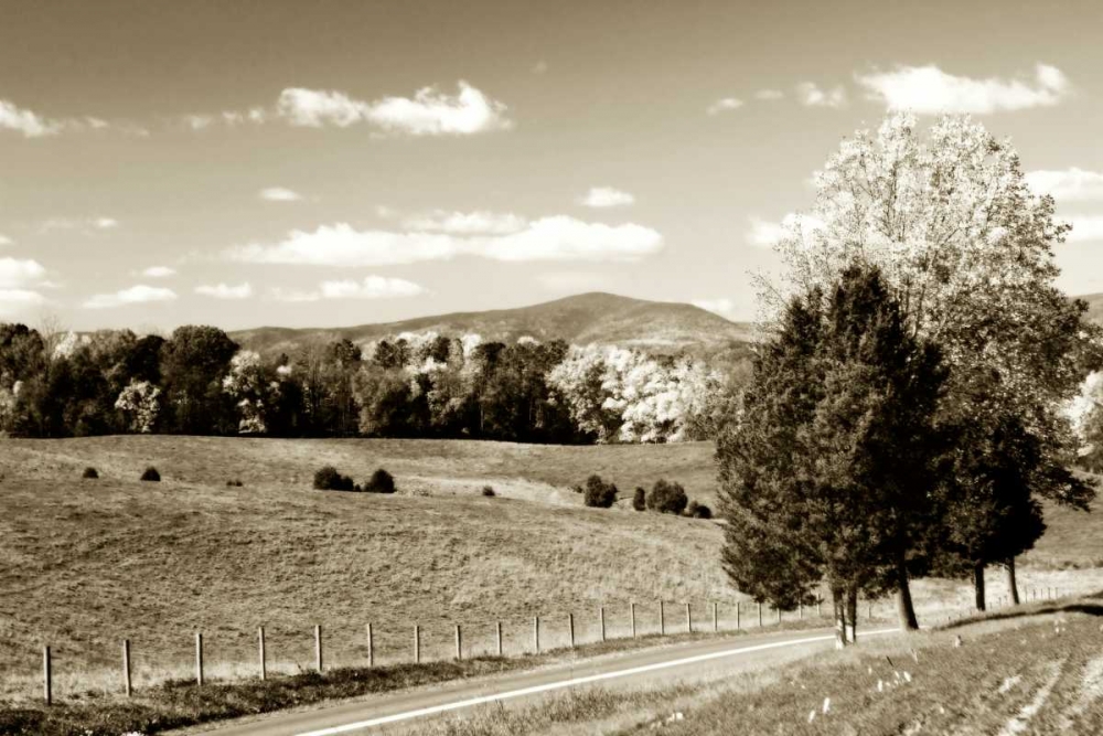 Autumn Foothills III art print by Alan Hausenflock for $57.95 CAD