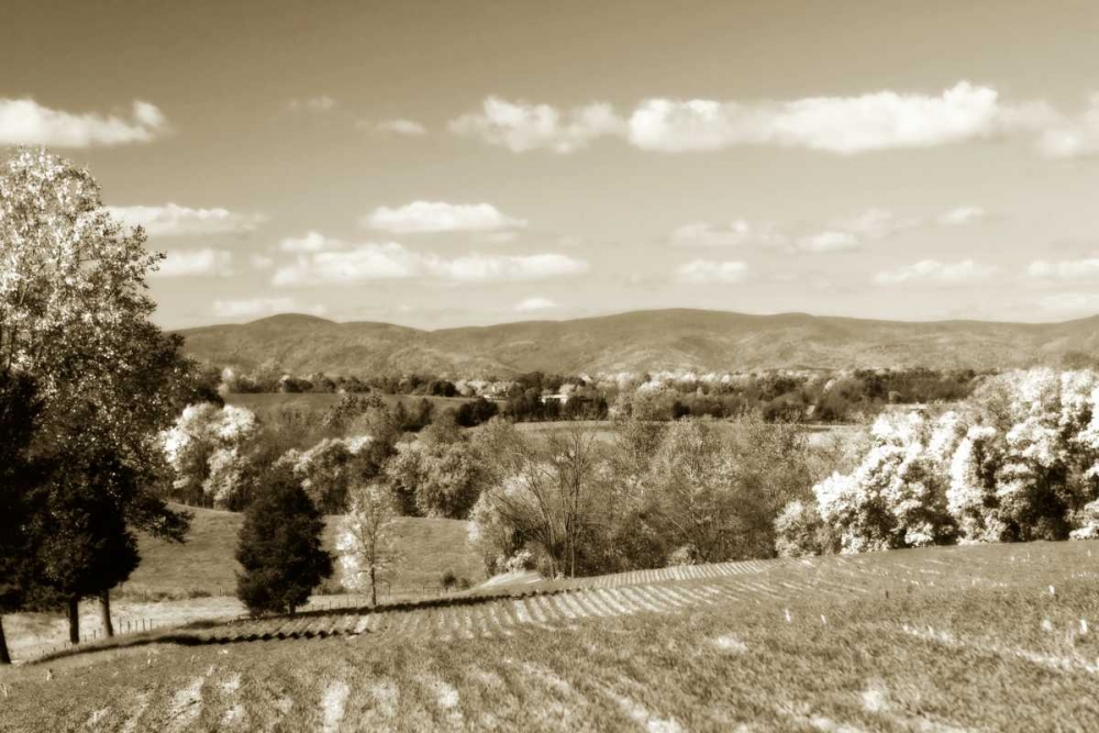 Autumn Foothills V art print by Alan Hausenflock for $57.95 CAD