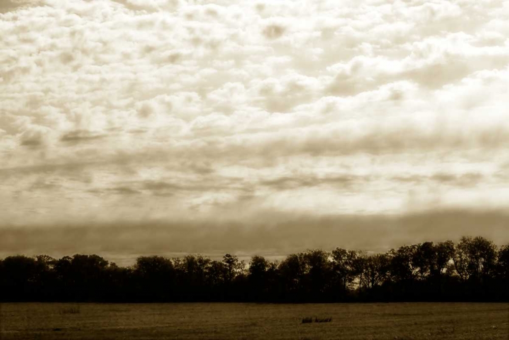 Clouds and Fields II art print by Alan Hausenflock for $57.95 CAD