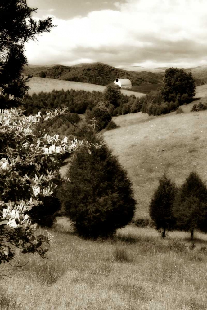 Madison County II art print by Alan Hausenflock for $57.95 CAD