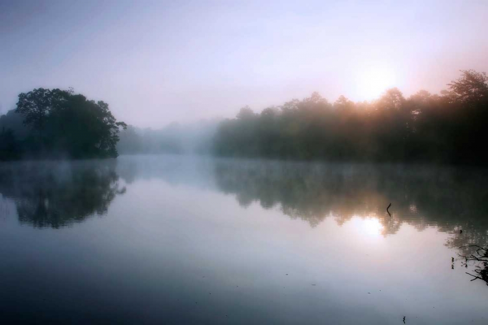Fog on the Mattaponi VIII art print by Alan Hausenflock for $57.95 CAD